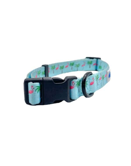 Flamingo Miami Vice - Cutie Ties Fun Design Dog Collar - Medium