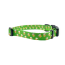 Green Beer - Cutie Ties Fun Design Dog Collar - Medium