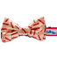 Bacon - Cutie Ties Dog Bow Tie - One Size