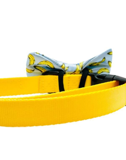 Banana - Cutie Ties Dog Bow Tie - One Size