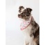 Seersucker Dots - Buddy Dog Bandana - S