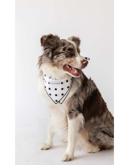 Classic Dots  - Buddy Dog Bandana - L