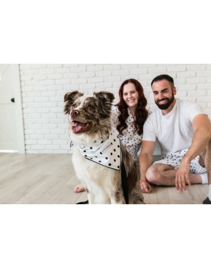 Classic Dots  - Buddy Dog Bandana - L