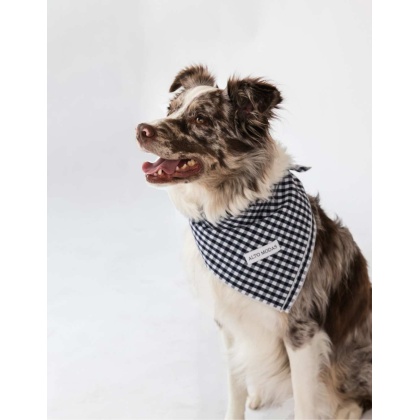 Navy Gingham  - Buddy Dog Bandana - S