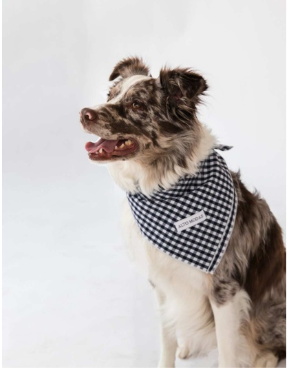 Navy Gingham  - Buddy Dog Bandana - S