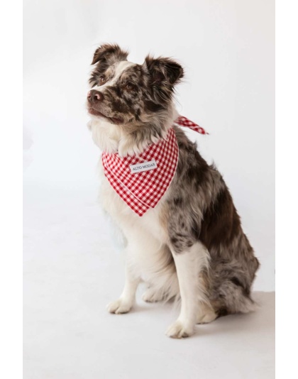 Red Gingham  - Buddy Dog Bandana - L