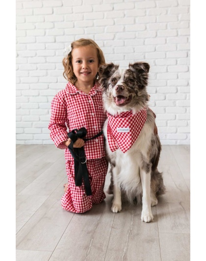 Red Gingham  - Buddy Dog Bandana - L