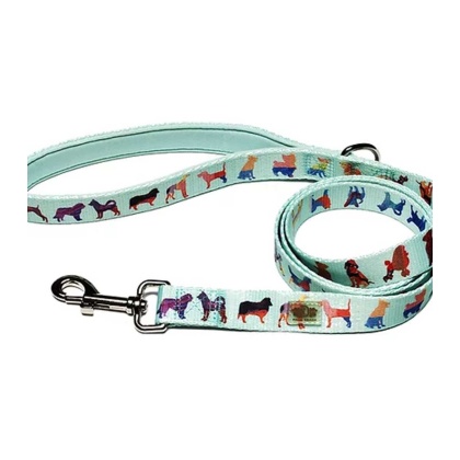 Seafoam - Dog Leash  - Small