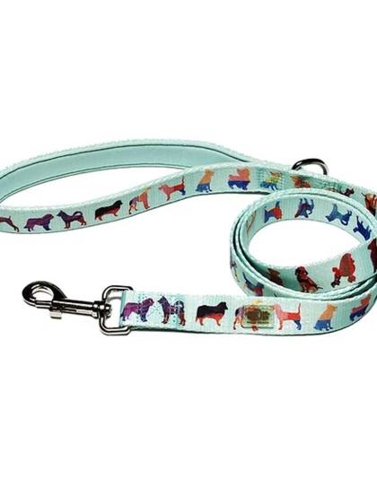 Seafoam - Dog Leash  - Small