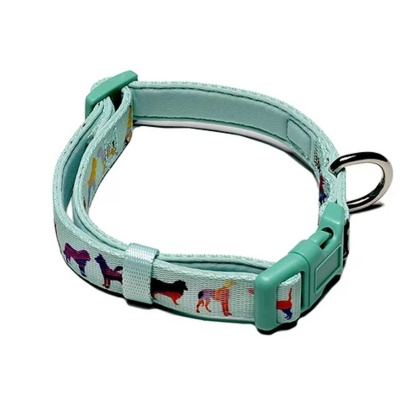 Seafoam - Dog Collar  - Large- adjustable