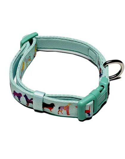 Seafoam - Dog Collar  - Medium- adjustable