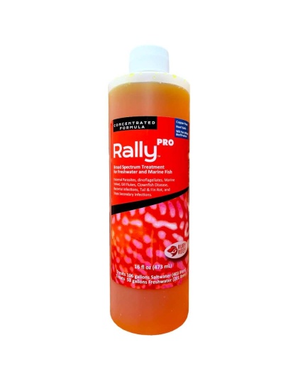 Rally PRO - 16 oz