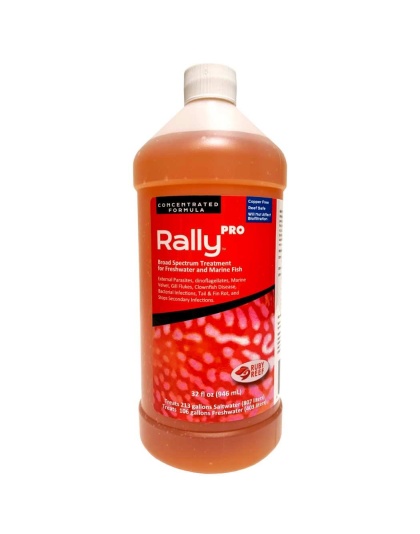 Rally PRO - 32 oz