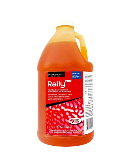 Rally PRO - 64 oz