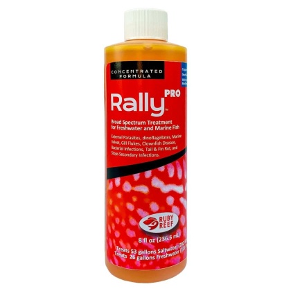 Rally PRO - 8 oz