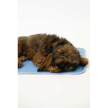 Cool Pet Pad - XS