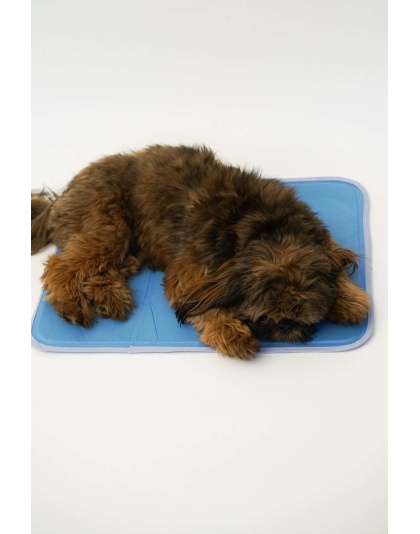 Cool Pet Pad - XS