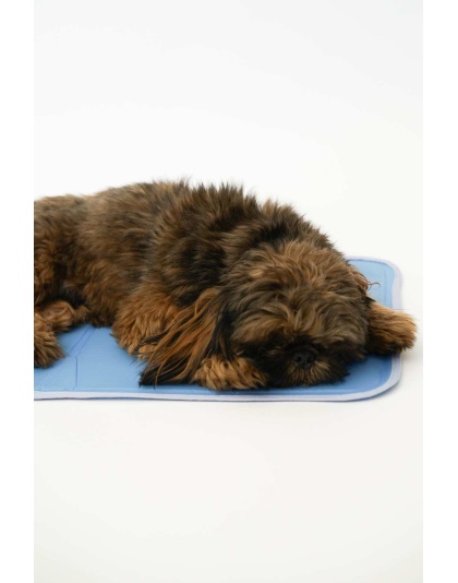 Cool Pet Pad - Medium