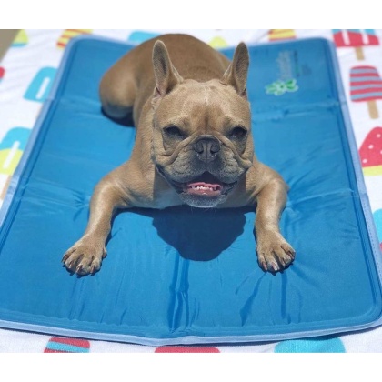 Cool Pet Pad - XL