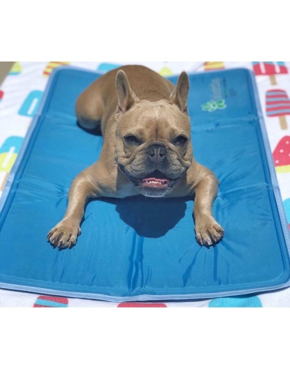 Cool Pet Pad - XL