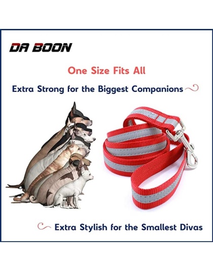 Black - Da Boon Original Double-Sided Reflective Leash