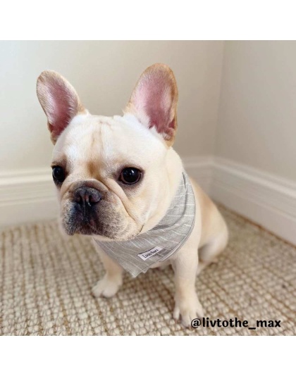 Grey - Classic Everyday Bandana - Small