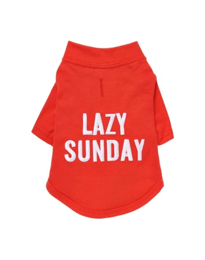 Candy Apple - The Essential T-Shirt - LAZY SUNDAY - Medium