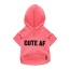 Neon Pink - The Everyday Hoodie - CUTE AF - Medium