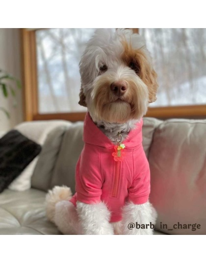 Neon Pink - The Everyday Hoodie - CUTE AF - Medium