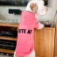 Neon Pink - The Everyday Hoodie - CUTE AF - Medium