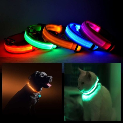 Orange - LED PET Safety Halo Style Collar - Small