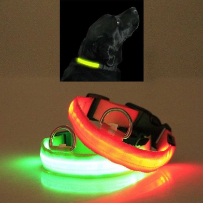 Green - LED PET Safety Halo Style Collar - Medium