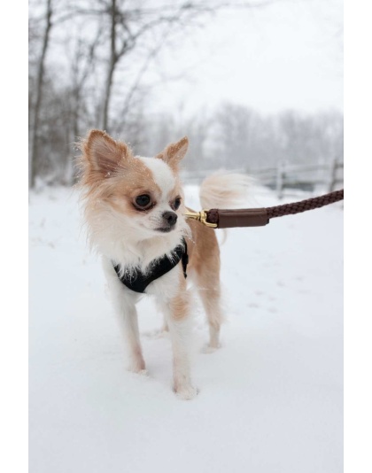 Brown w/ Brown Leather Sleeve - Rope Leash