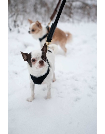 Tan w/ Champagne Leather Sleeve - Rope Leash