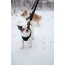 Black w/ Black Leather Sleevee - Rope Leash