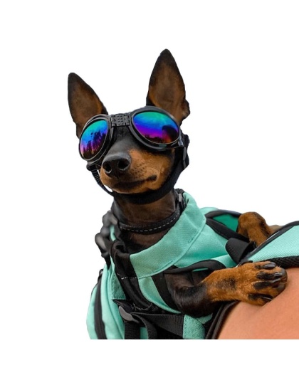 Jet Black - K9 Sport Shades - Dog Goggles