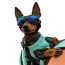 Jet Black - K9 Sport Shades - Dog Goggles