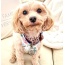 Bella Rose - Dog Bow Tie  - Small