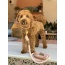 Bella Rose - Dog Collar  - Small