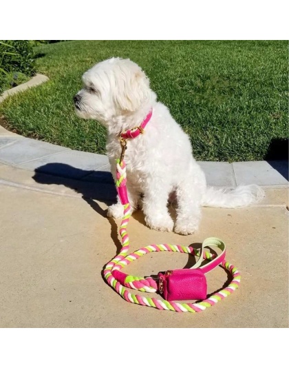 Candy Swirl - Dog Collar  - Large