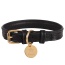 Dark Night - Dog Collar  - Small