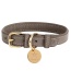 Desert Mint - Dog Collar  - XL