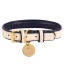 Hot Marine - Dog Collar  - Medium