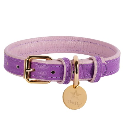 Lavish Lavender - Dog Collar  - Medium