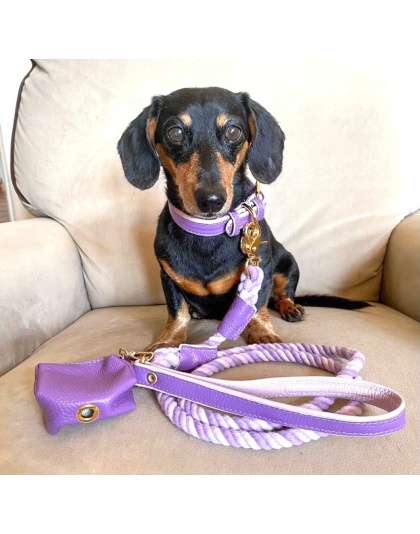 Lavish Lavender - Dog Collar  - Medium