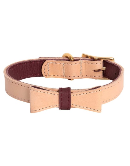 Luscious Bow - Dog Collar  - XL