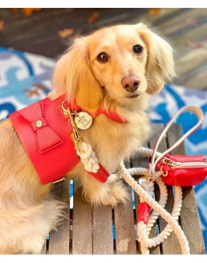 Melting Hearts - Dog Harness  - Small