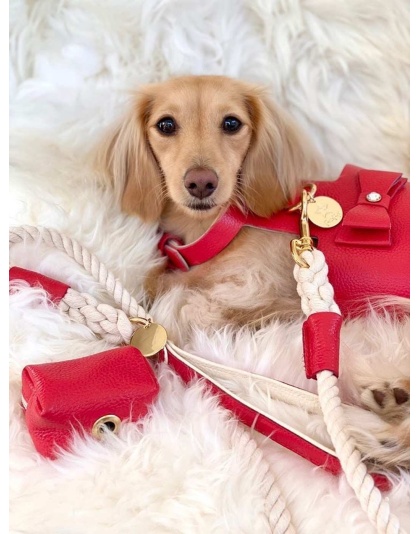 Melting Hearts - Dog Harness  - Small