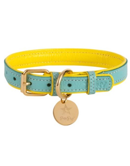 Sunshine Babe - Dog Collar  - Large