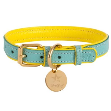 Sunshine Babe - Dog Collar  - Medium